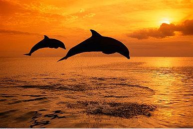 《心灵杀手2》新细节：敌人少而精 两大战役非常不同